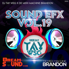 DJ Tay Wsg & De Mixx Machine Brandon  - Sound Efx Pack Vol. 19 (EFX 2020)
