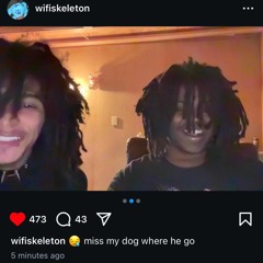 wifiskeleton 9/23/24 snippet