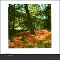 radiatus (Anoice / Yuki Murata '24 Piano Sketches')