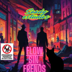 Flow Sin Frenos