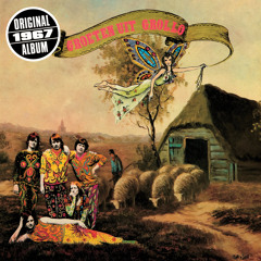 Somebody Will Know Someday