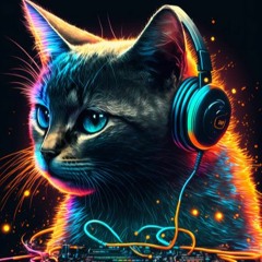 Purrrrrr Electro Intro
