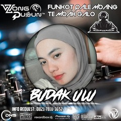 DJ WONG DUSUN l DUGEM AKU BUKAN PILIHANMU X STECU STECU l SPESIAL REQUEST BUDAK ULU 2025.mp3.mp3