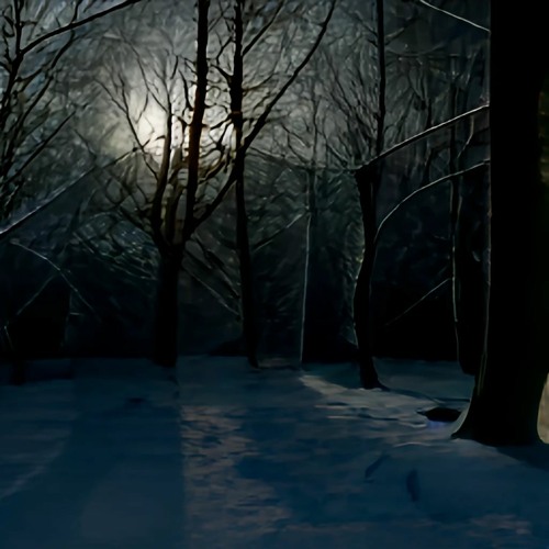 Winter Forest (leave the trees alone!)