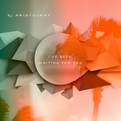 DJ Aristocrat - I've Been Waiting For You (Extended Mix)