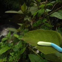 f_lok_9w_remix_with_low_octve_v5 27 03 2023