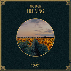 Niko Garcia - Feeling (Original Mix)