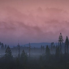 After Dark - Mr. Kitty ( Slowed + Reverb )