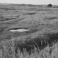 Spencer the Rover - Live 2020 (cover)