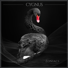Cygnus