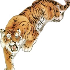 𓏲𝄢 día   ˖ ݁♬⋆.˚. ⋆˚. ♪