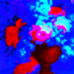Vivid Illusions