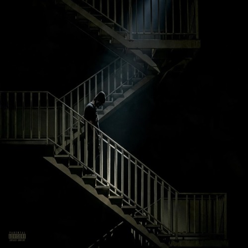 Nefrine13 — cover