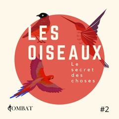 LSC #3 : Les Oiseaux