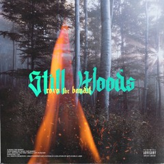 Still Woods
