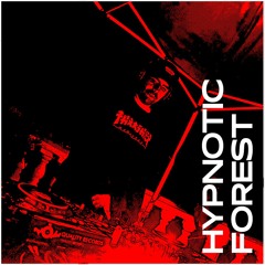 Hypnotic Forest / MedellinStyle.com Podcast 098