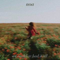 NOA - WE COULD'VE HAD IT ALL