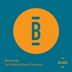 Rich Curtis - Two Sides To Every Cockroach [PREVIEW]