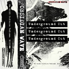 We Kill Culture Volume 12. Underground Cut ***FREE DOWNLOAD***