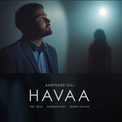 Havaa - Amrinder Gill | Dr Zeus | Harmanjeet
