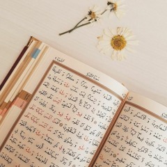 إِنَّ هَـٰذَا ٱلۡقُرۡءَانَ یَهۡدِی لِلَّتِی هِیَ أَقۡوَمُ