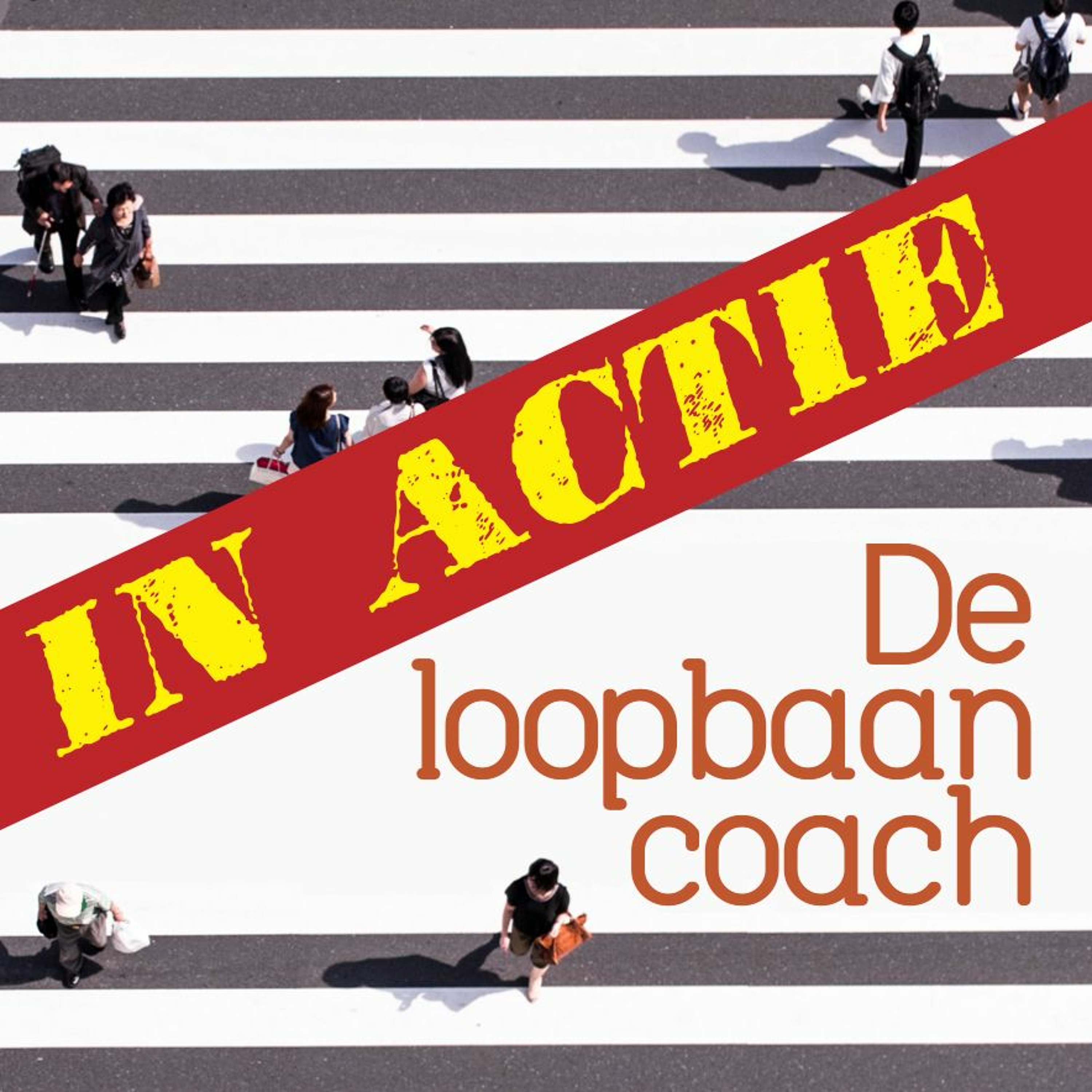De Loopbaancoach