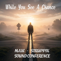 While You See A Chance - Steve Winwood (Cover by M.A.W. and @Struppix)