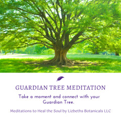 Guardian Tree Meditation