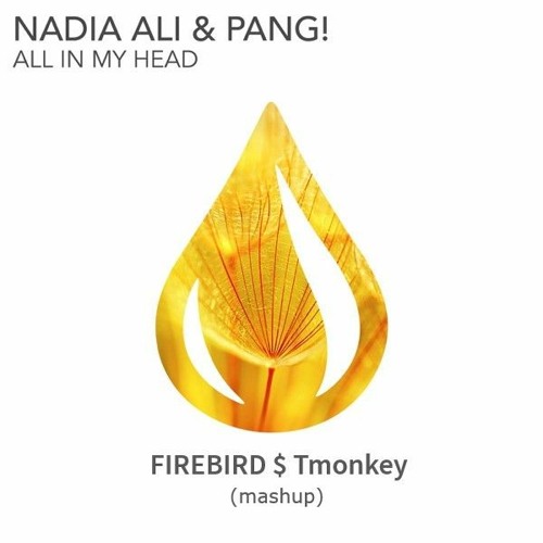Nadia Ali & PANG! - All In My Head (Firebird X T-Monkey mashup) (Free download)