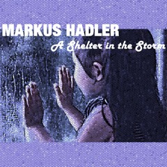 Markus Hadler- A Shelter In The Storm (Original Mix) FREE DOWNLOAD