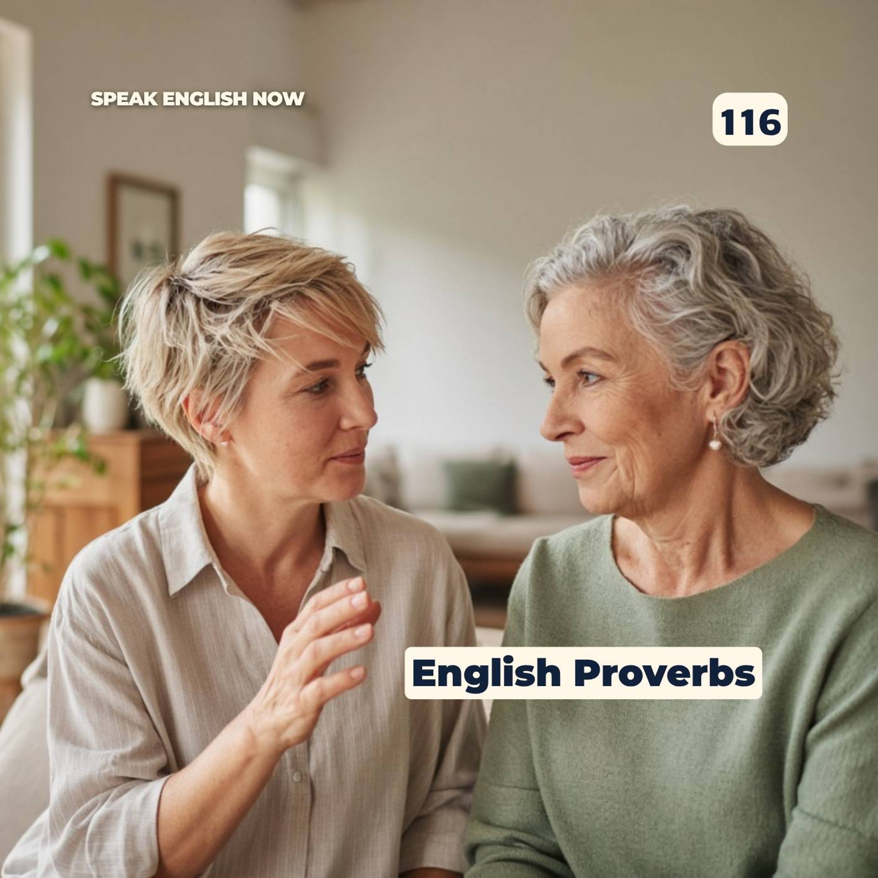 #116 Learn English proverbs episode artwork