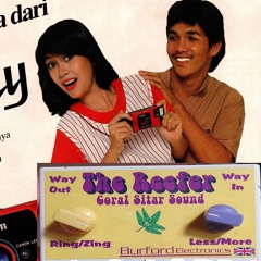 sympathetic dissonance (raindance mix)