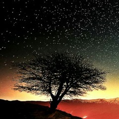 you lost the spark in your eyes