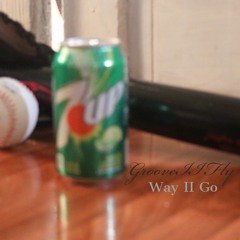 Way II Go (promotional use only)