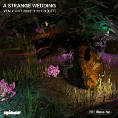 A Strange Wedding présente Further Inward - 07 Octobre 2022
