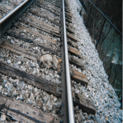 But At Least You're Not Bitter