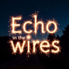Echo in the Wires