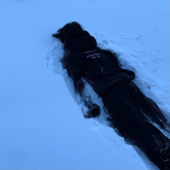 cold distances