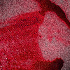 GNXRLY (prod. taymxru) I KNOW YOU SEE THIS🫵