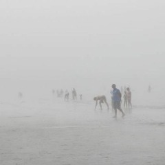 Beaucoup d'entre nous ne voient