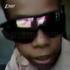 RIGIDIGDIG