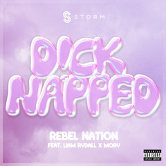 D!cknapped! (Radio Edit) [feat. Liam Rydall & MORY]