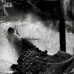 Jazzhop/Chillhop 2025-02-10