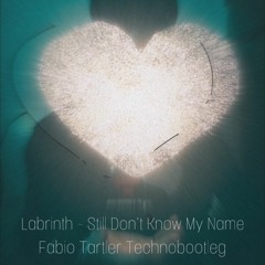 Labrinth - Still Don't Know My Name (Fabio Tartler Techno Bootleg)