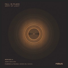 Fall In Place - Army of Light