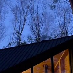 try my hardest (prod. wetmall)