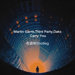 Martin Garrix- Carry You(你卤味 Bootleg)