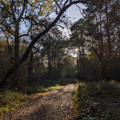 Not Christmas Yet (Waiting for Christmas)