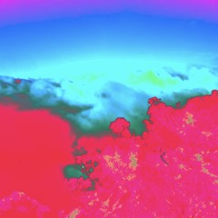 wasted prod. Armand Scott