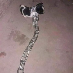 ПΩПРΩШУ ∞ ТΣБЯ